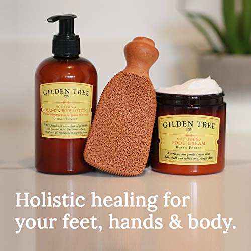 GILDEN TREE Organic Aloe Vera & Shea Butter Foot Cream, 8 oz