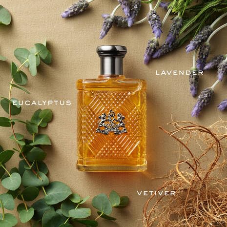 Ralph Lauren Safari Eau de Toilette Woody Fresh Men's Cologne, 4.2 fl oz
