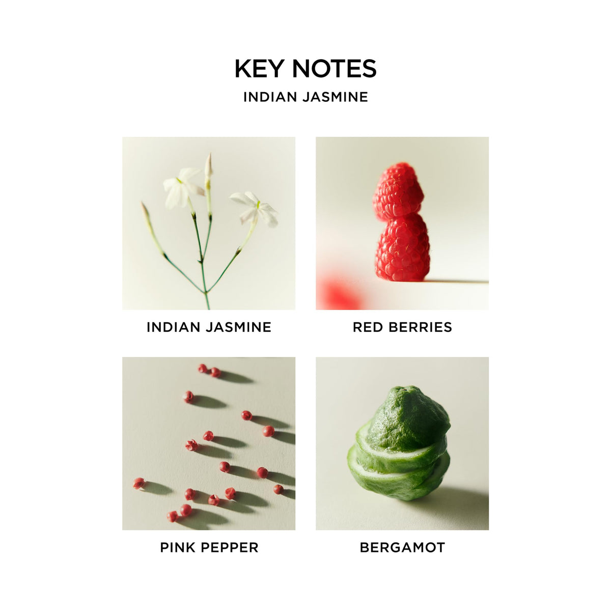 NEST New York Perfume Oil Discovery Set with 5 Rollerball Fragrances