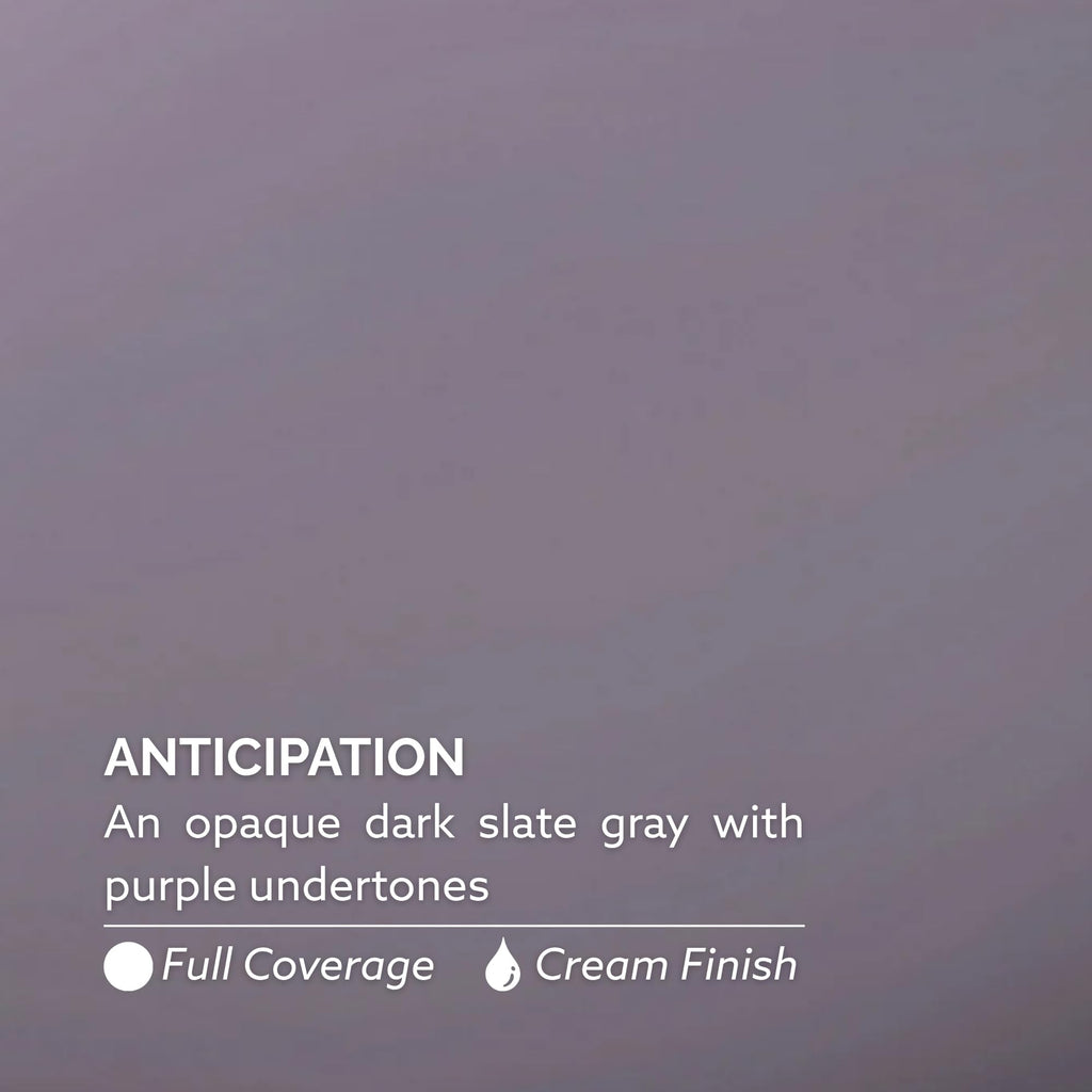 Dazzle Dry Nail Lacquer Step 3 – Anticipation Dark Slate Gray, 0.5 fl oz
