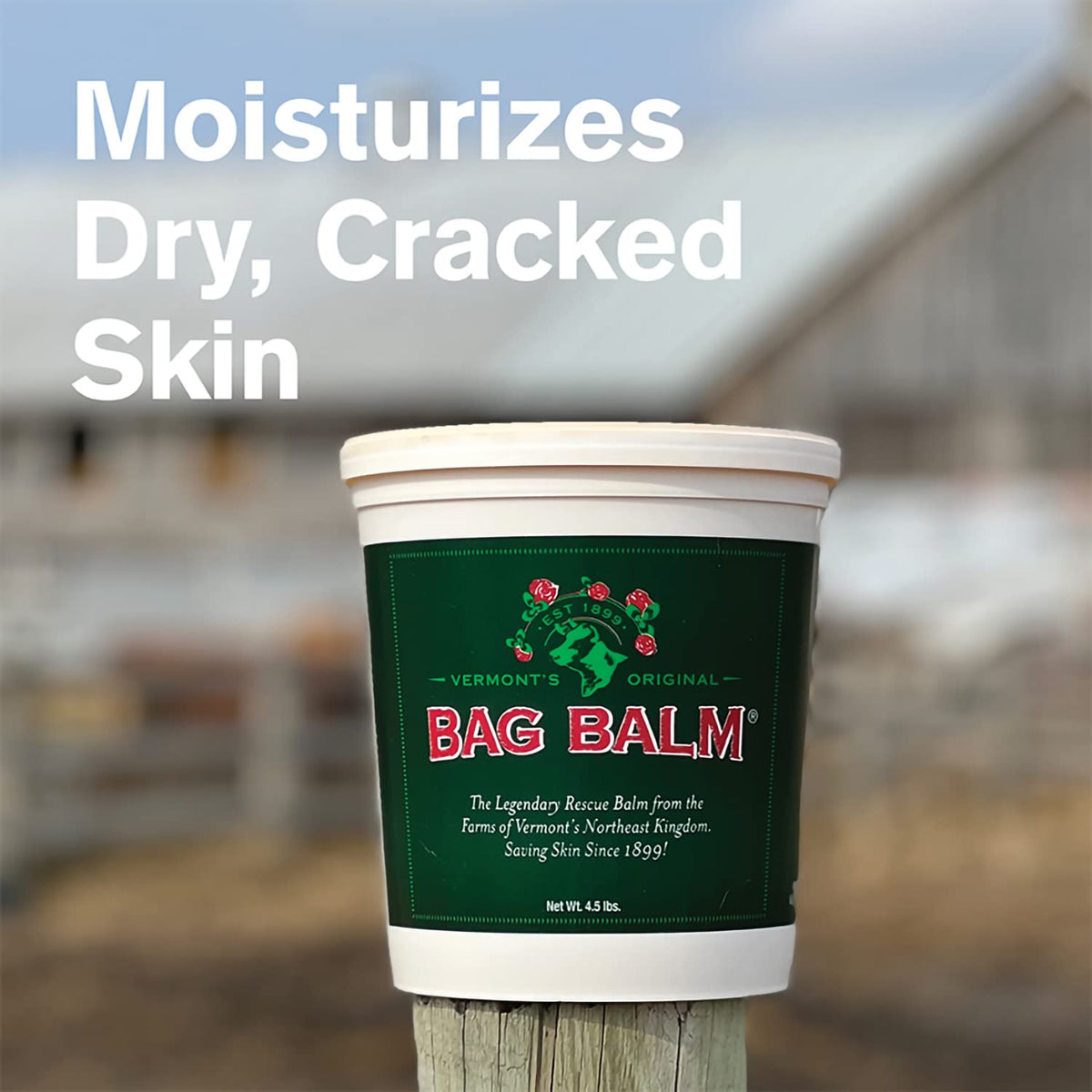 Bag Balm Vermont's Original Hand & Skin Moisturizer Ointment