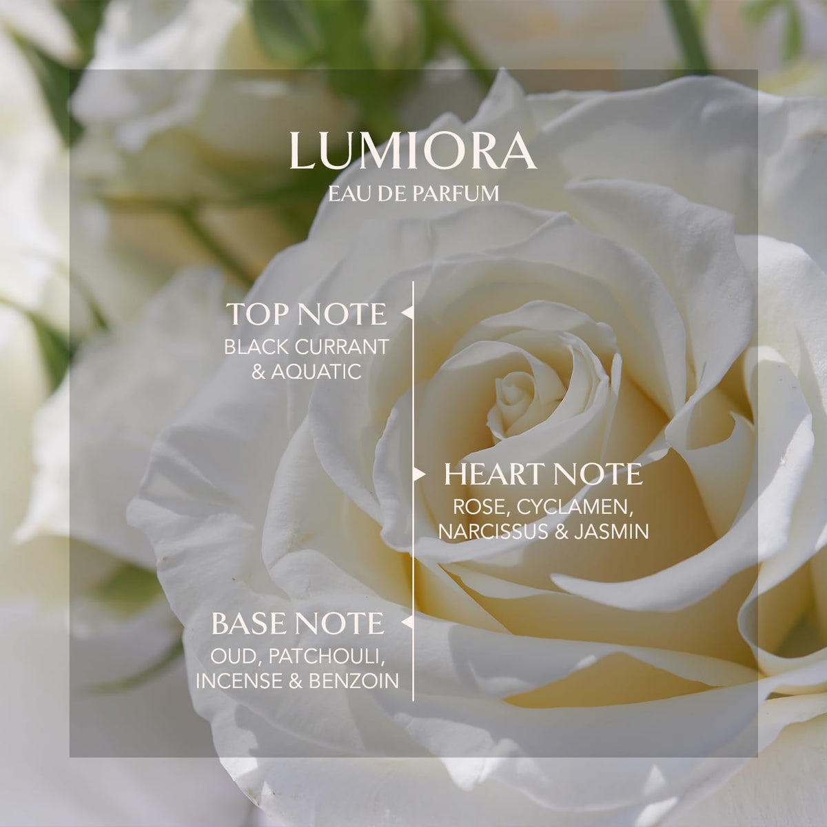 EMBAROUGE Lumiora Eau de Parfum, Floral Oud Fragrance for Women, 100 ml