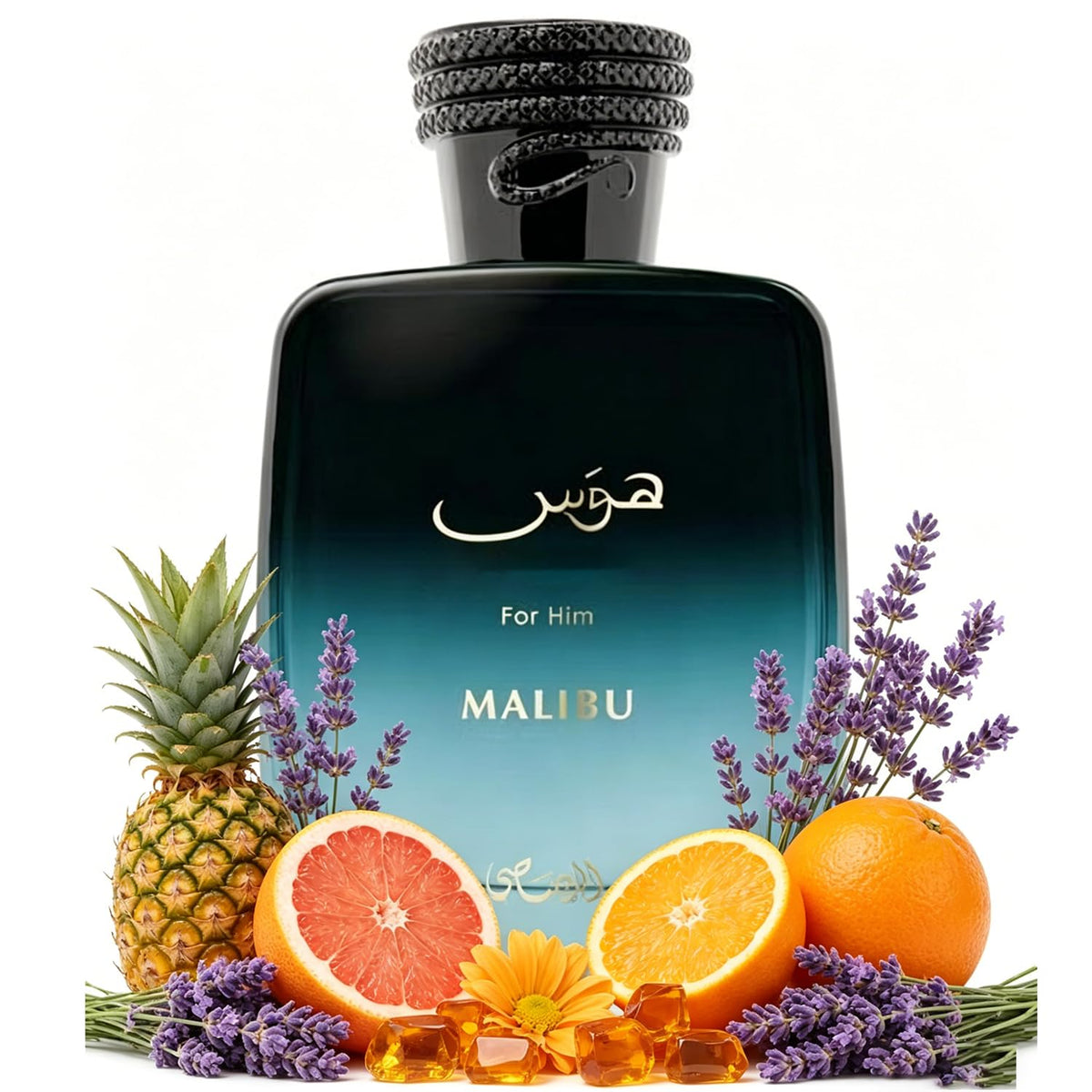 MALIBU For Him Eau de Parfum Spray Cologne for Men 100ML