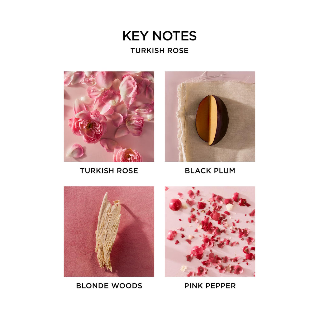 NEST New York Perfume Oil Discovery Set with 5 Rollerball Fragrances