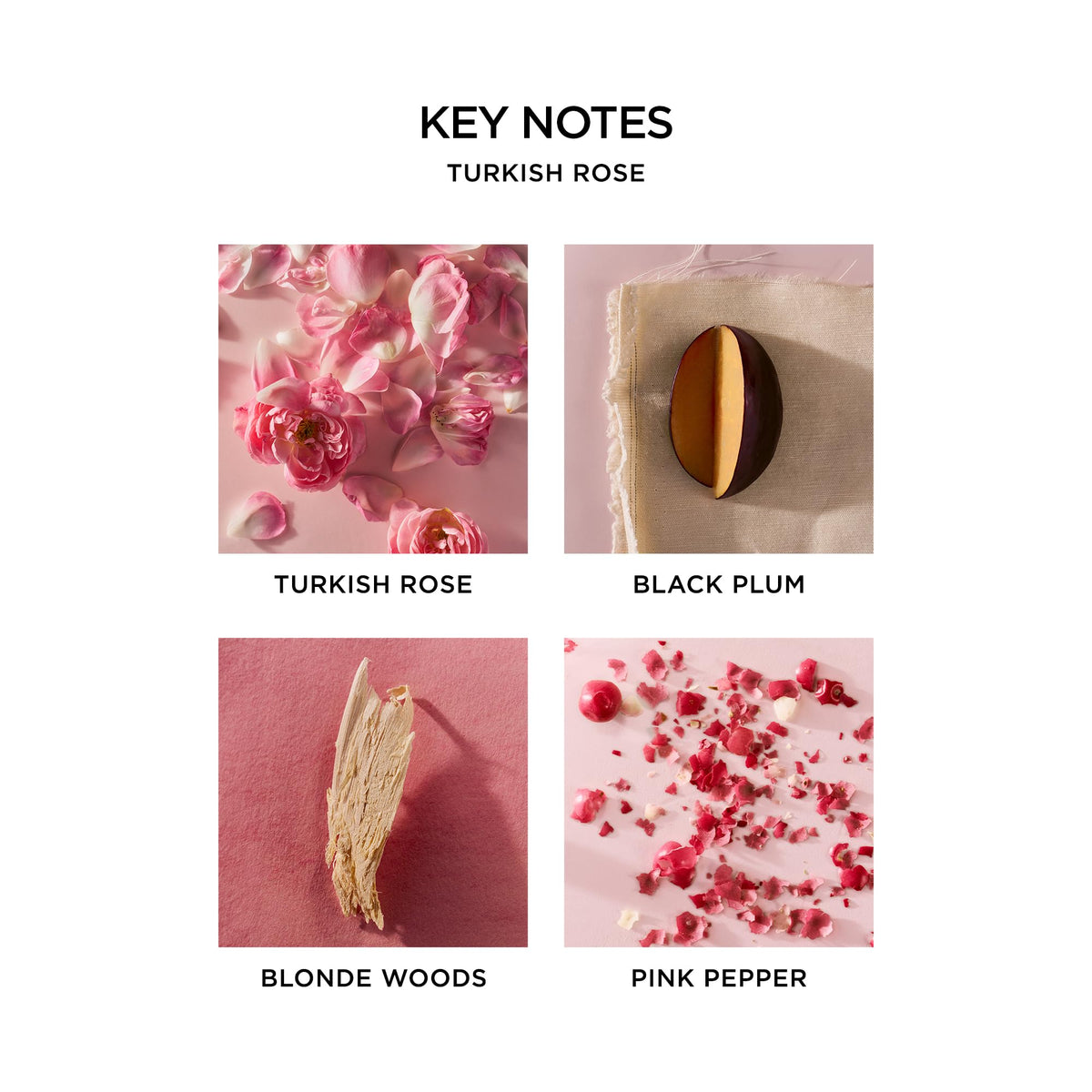 NEST New York Perfume Oil Discovery Set with 5 Rollerball Fragrances