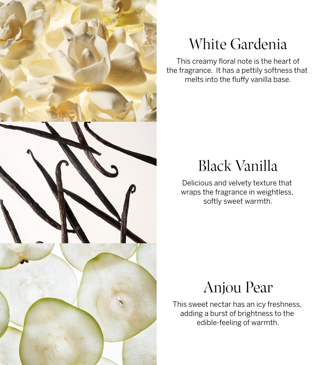 Victoria's Secret Tease Eau de Parfum Warm Gourmand Fragrance