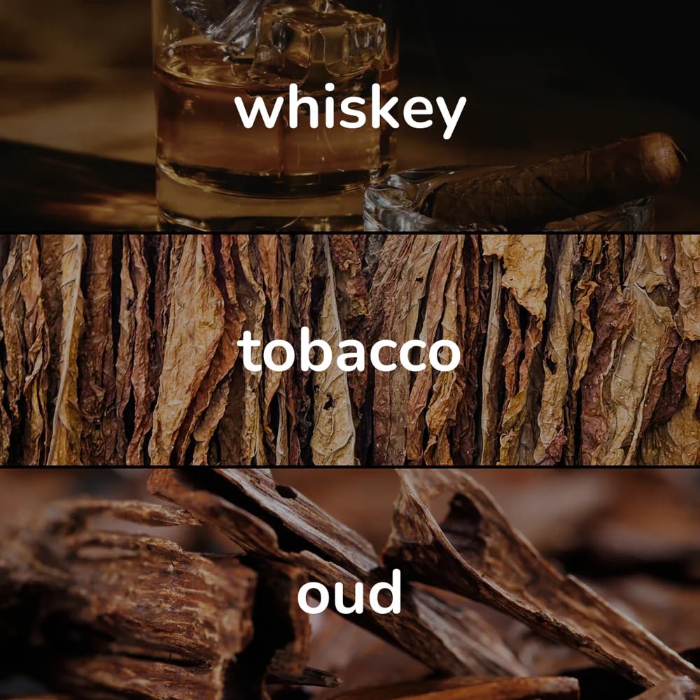 Lucid Coast Perfume Fragrance Collection