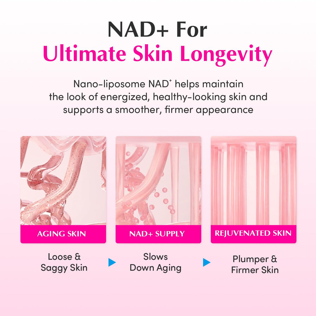 EQQUALBERRY NAD+ Peptide Boosting Cream with 13 Peptides