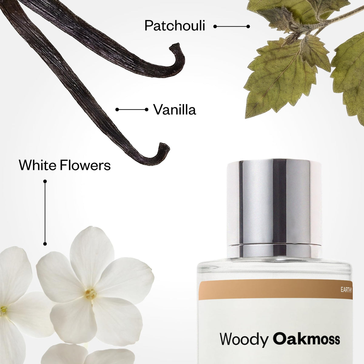 Dossier Woody Oakmoss Eau de Parfum for Women