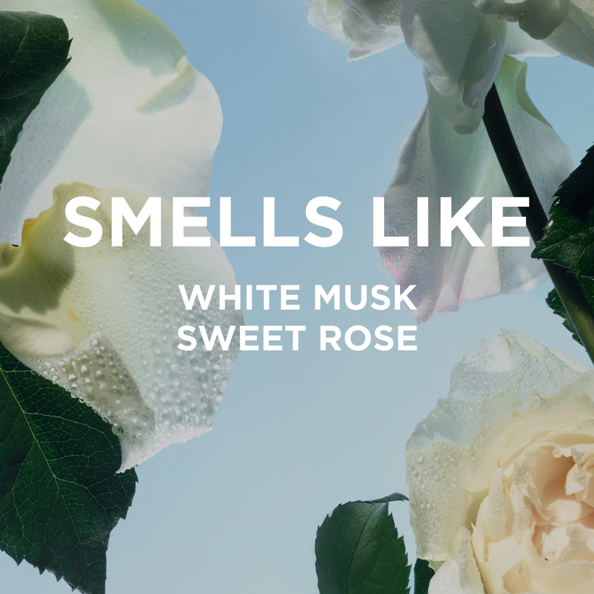 By Rosie Jane Perfume Oil Roll-On