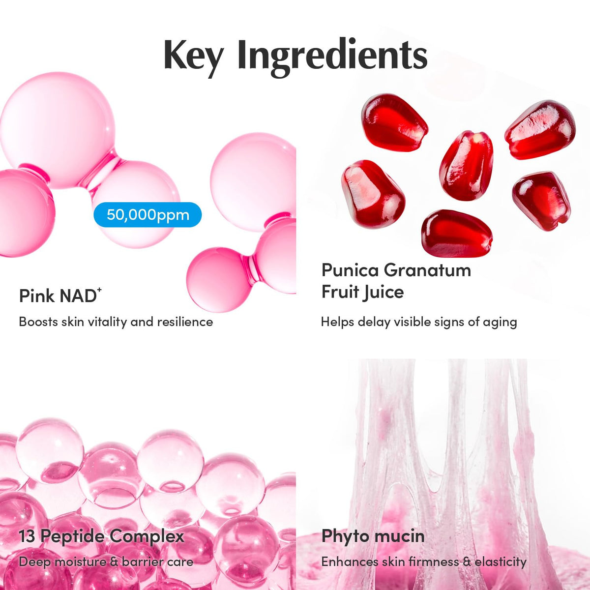 EQQUALBERRY NAD+ Peptide Boosting Cream with 13 Peptides