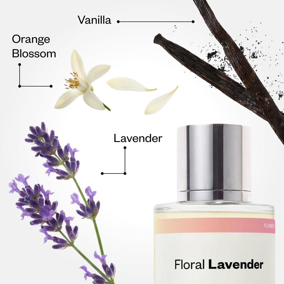 Dossier Floral Lavender Eau de Parfum for Women, Inspired by Libre