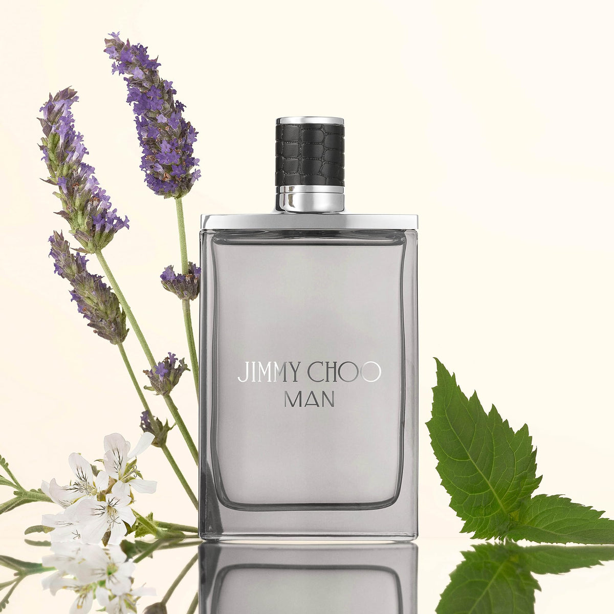 JIMMY CHOO Man Eau de Toilette Men's Aromatic Fougere Woody Fragrance
