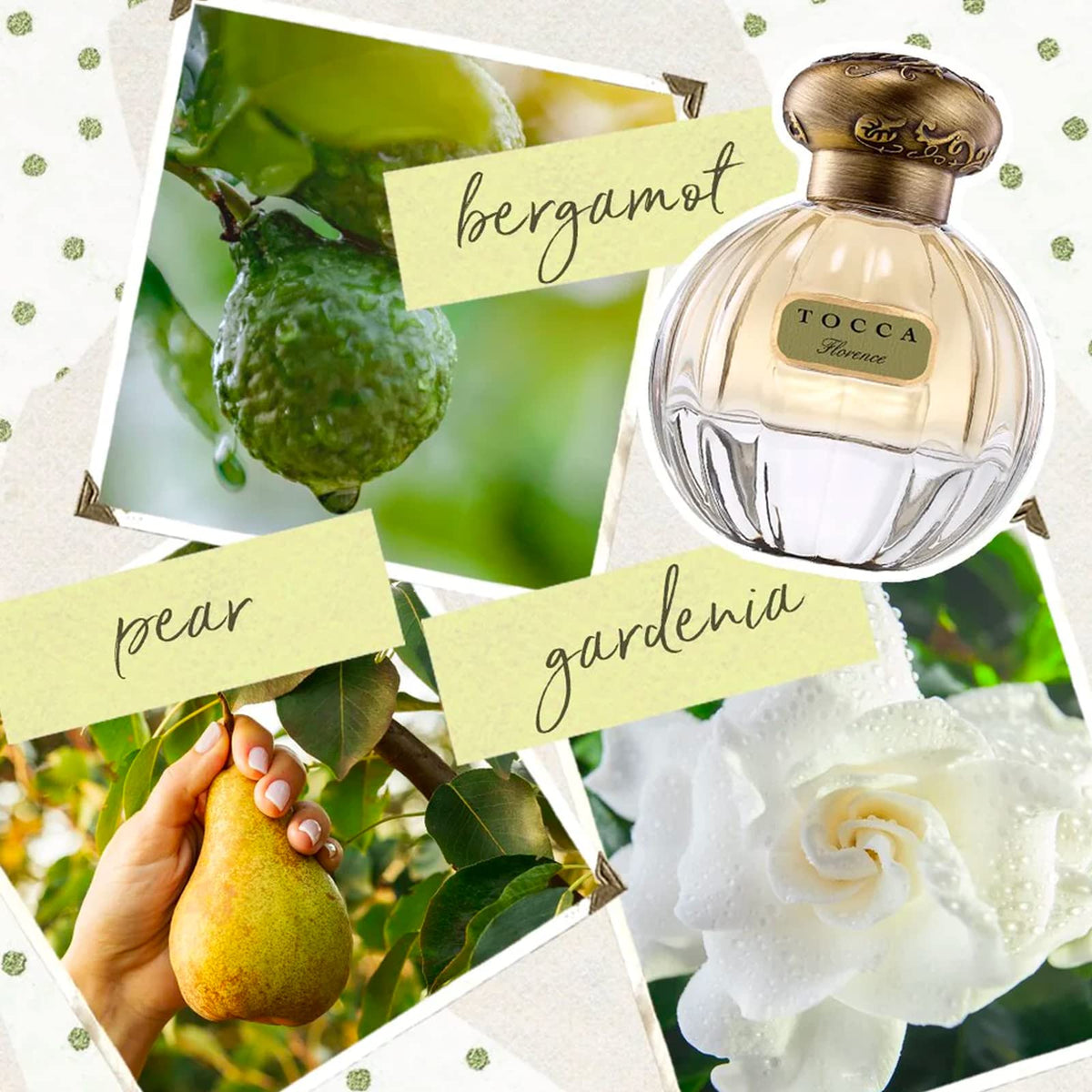 TOCCA Florence Eau de Parfum Classic Floral Fragrance