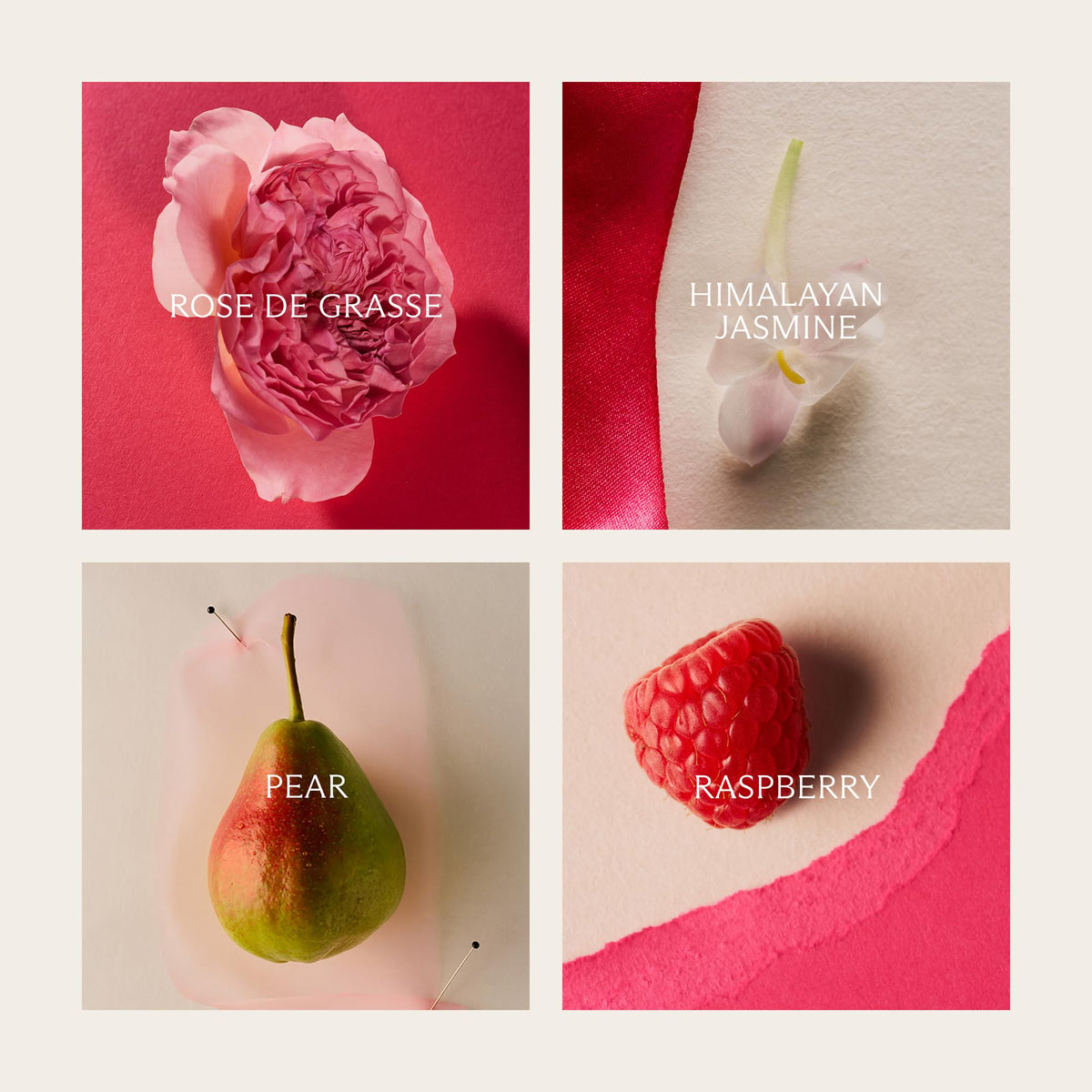NEST New York Wild Poppy Fruity Floral Eau de Parfum