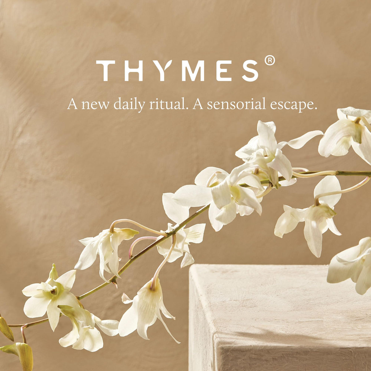 Thymes Replenishing Hand Lotion for Dry Skin, 9.4 fl oz, Pack of 1