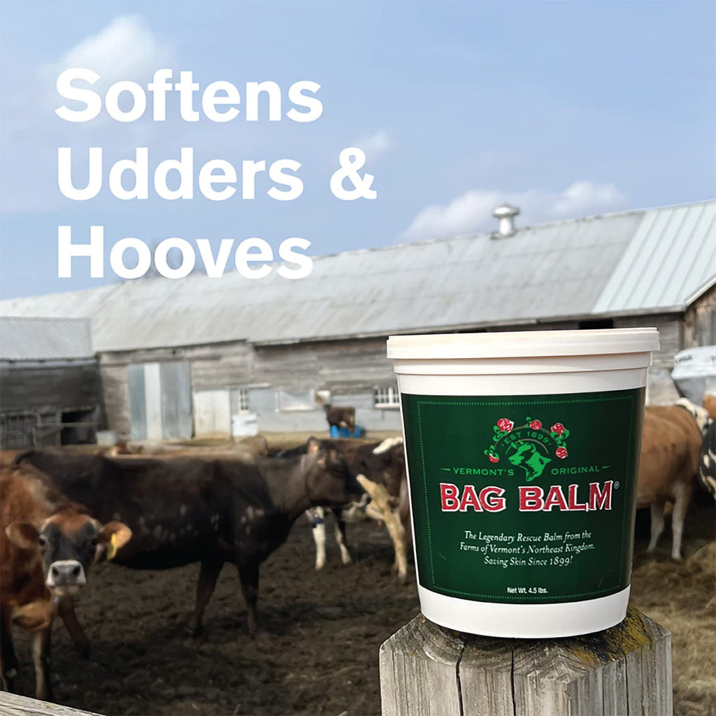 Bag Balm Vermont's Original Hand & Skin Moisturizer Ointment