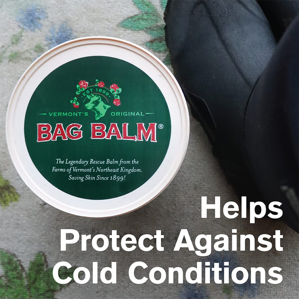 Bag Balm Vermont's Original Hand & Skin Moisturizer Ointment