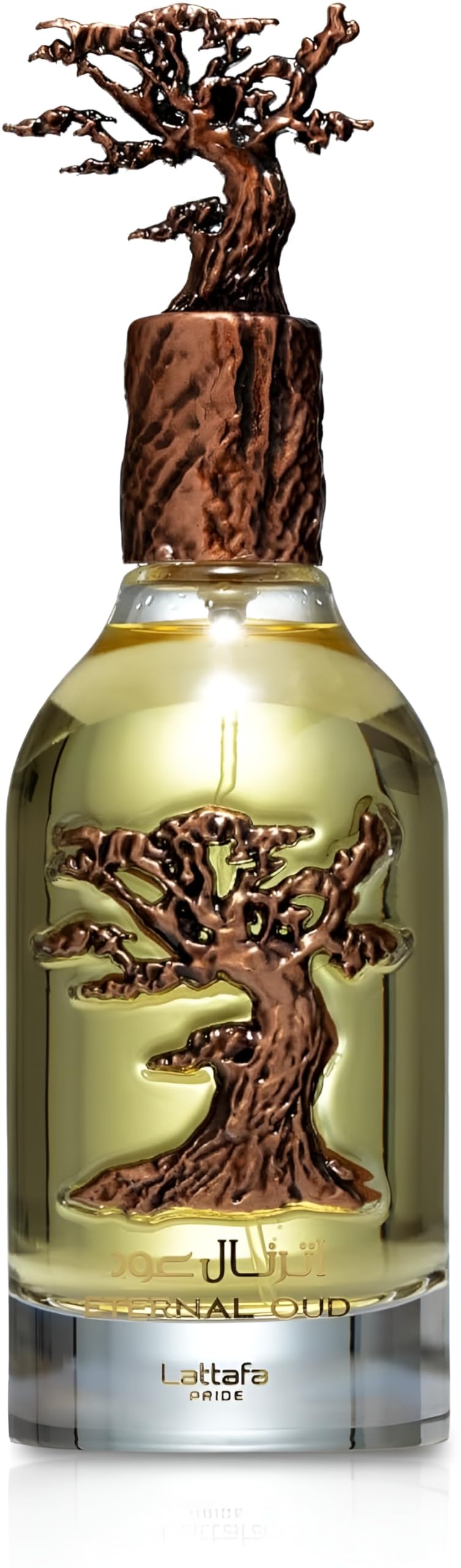Lattafa Eternal Oud Eau De Parfum Spray, 3.4 Ounce, Unisex