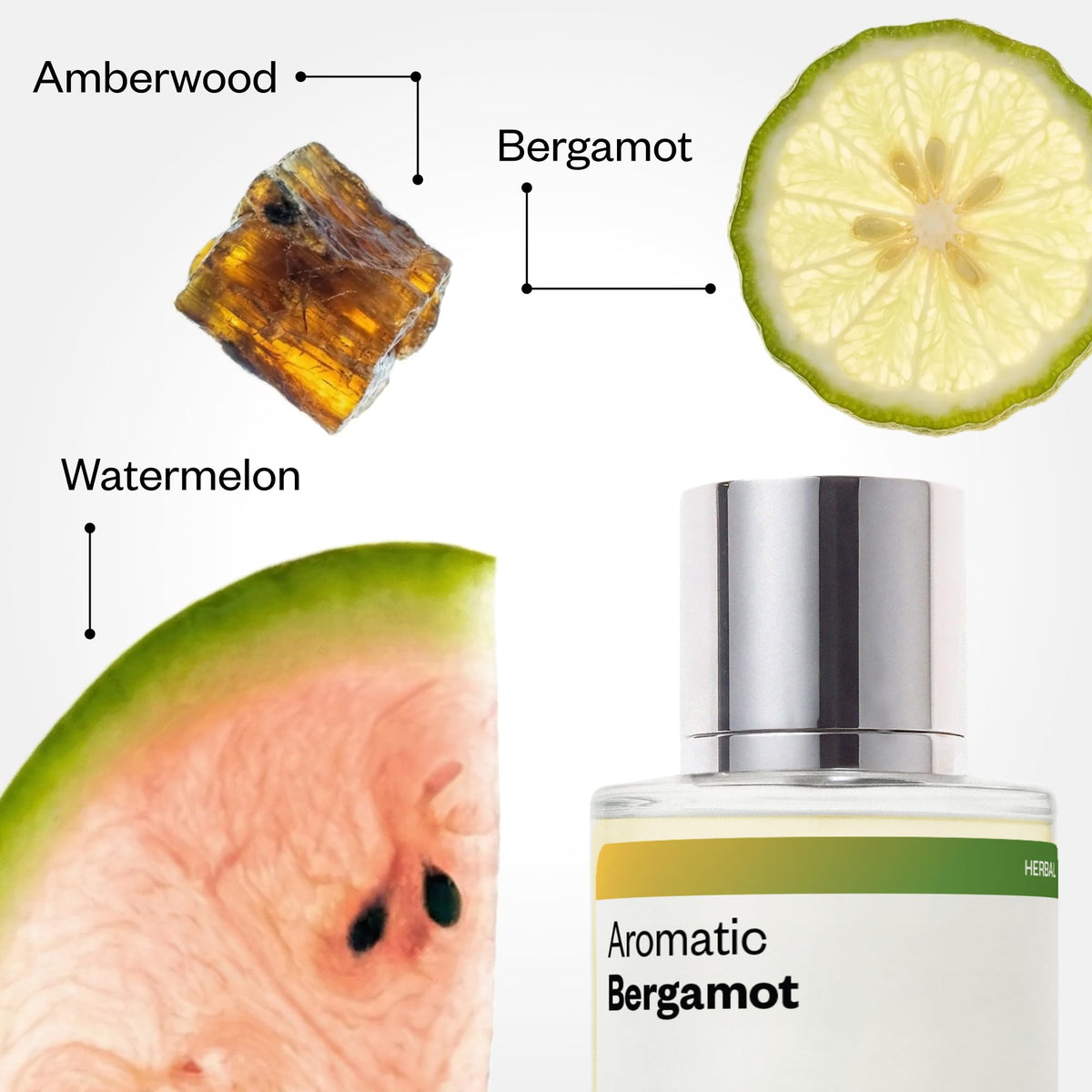 Dossier Aromatic Bergamot Eau de Parfum for Men, 1.7 fl oz