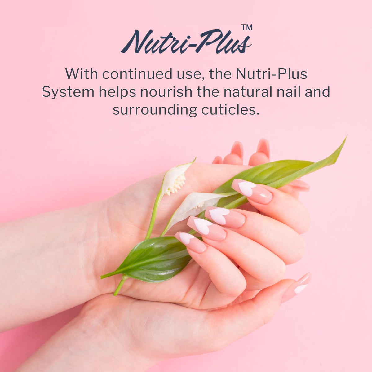 SNS Nail Dip Powder