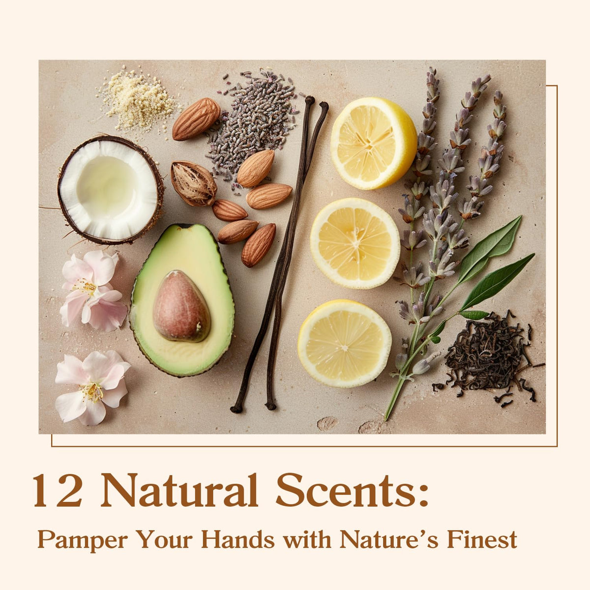 Hand Cream with Plant Extracts, Travel Size Moisturizing Hand Lotion