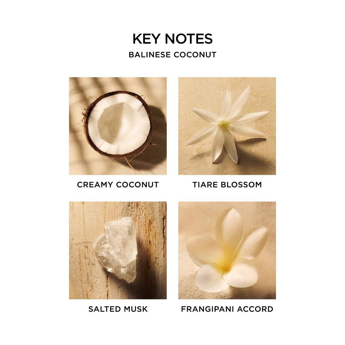 NEST New York Perfume Oil Discovery Set with 5 Rollerball Fragrances