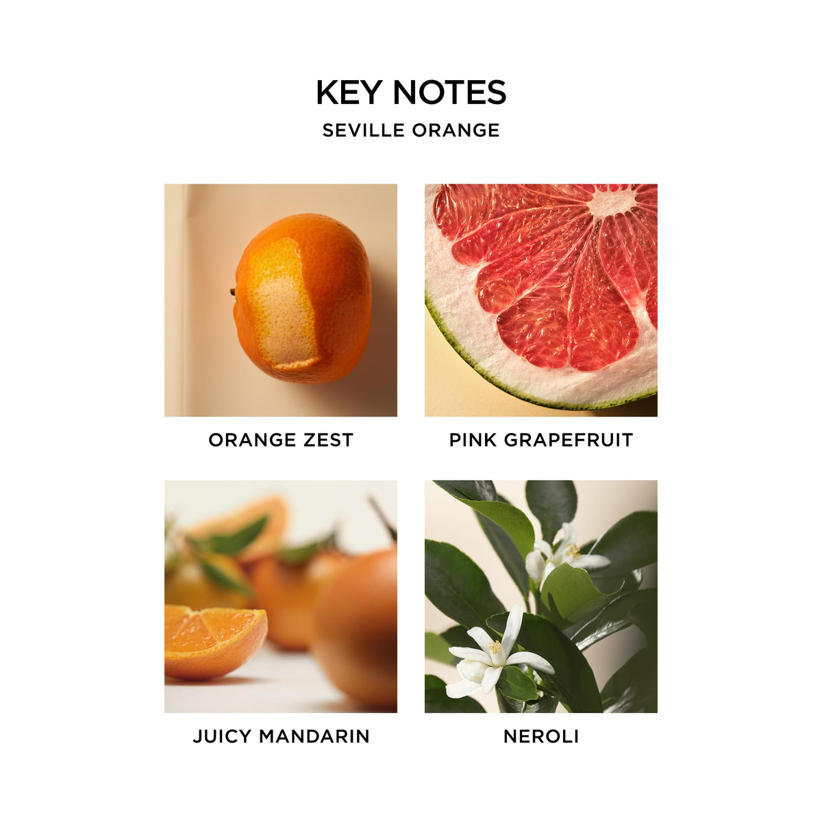 NEST New York Perfume Oil Discovery Set with 5 Rollerball Fragrances