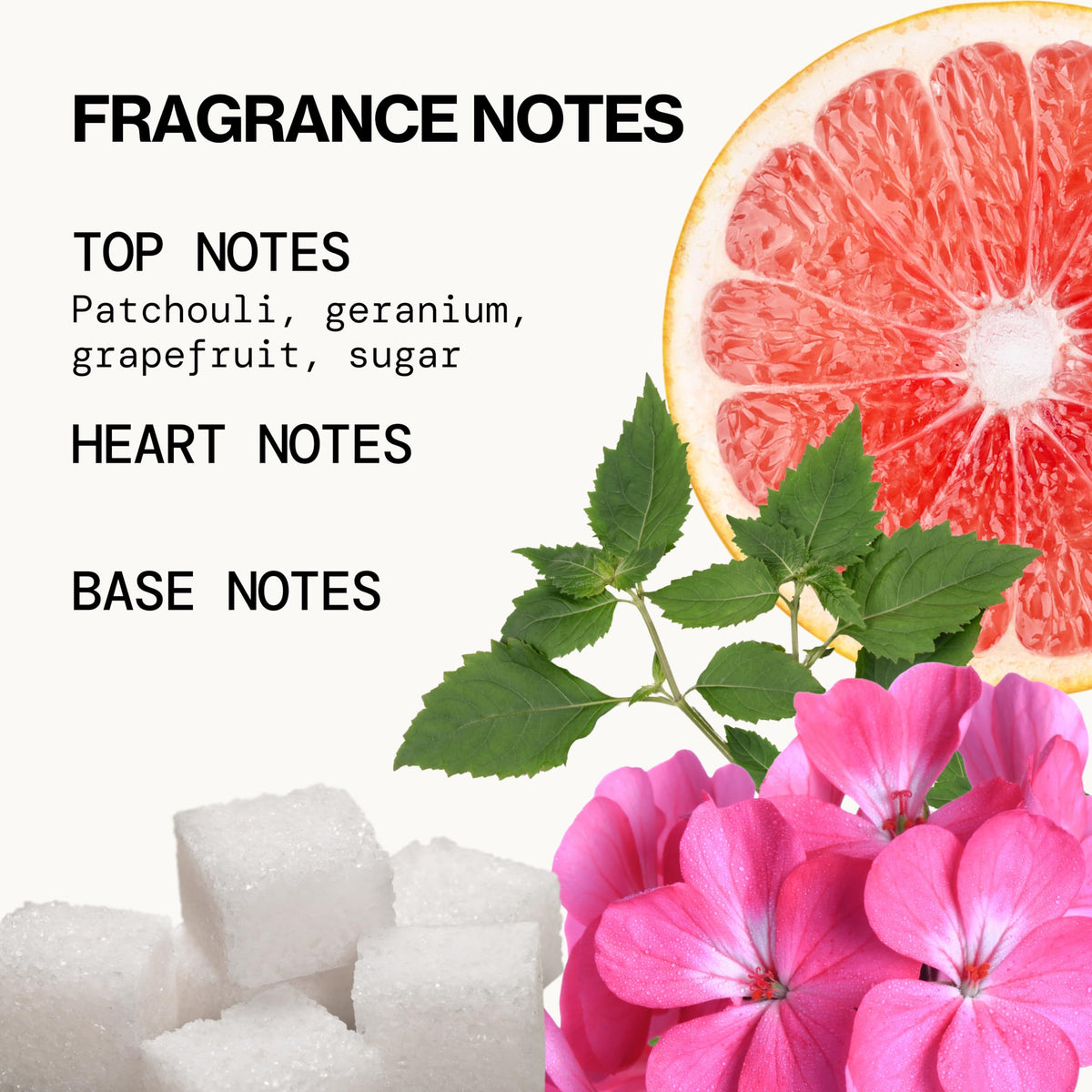 Pacifica Beauty Himalayan Patchouli Berry Spray Perfume with Grapefruit and Patchouli