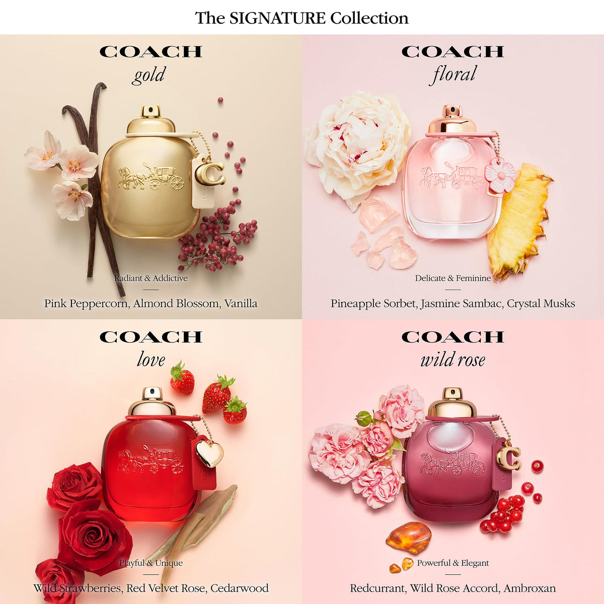 Coach Wild Rose Eau de Parfum Women's Floral Gourmand Fragrance