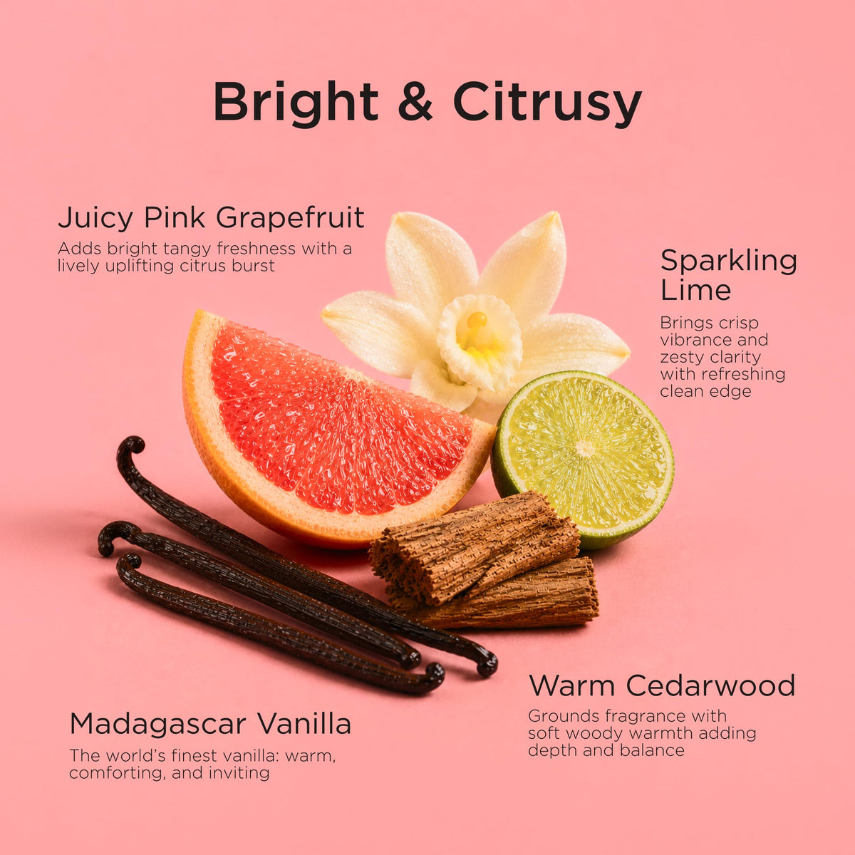 Lavanila Vanilla Grapefruit Perfume for Women