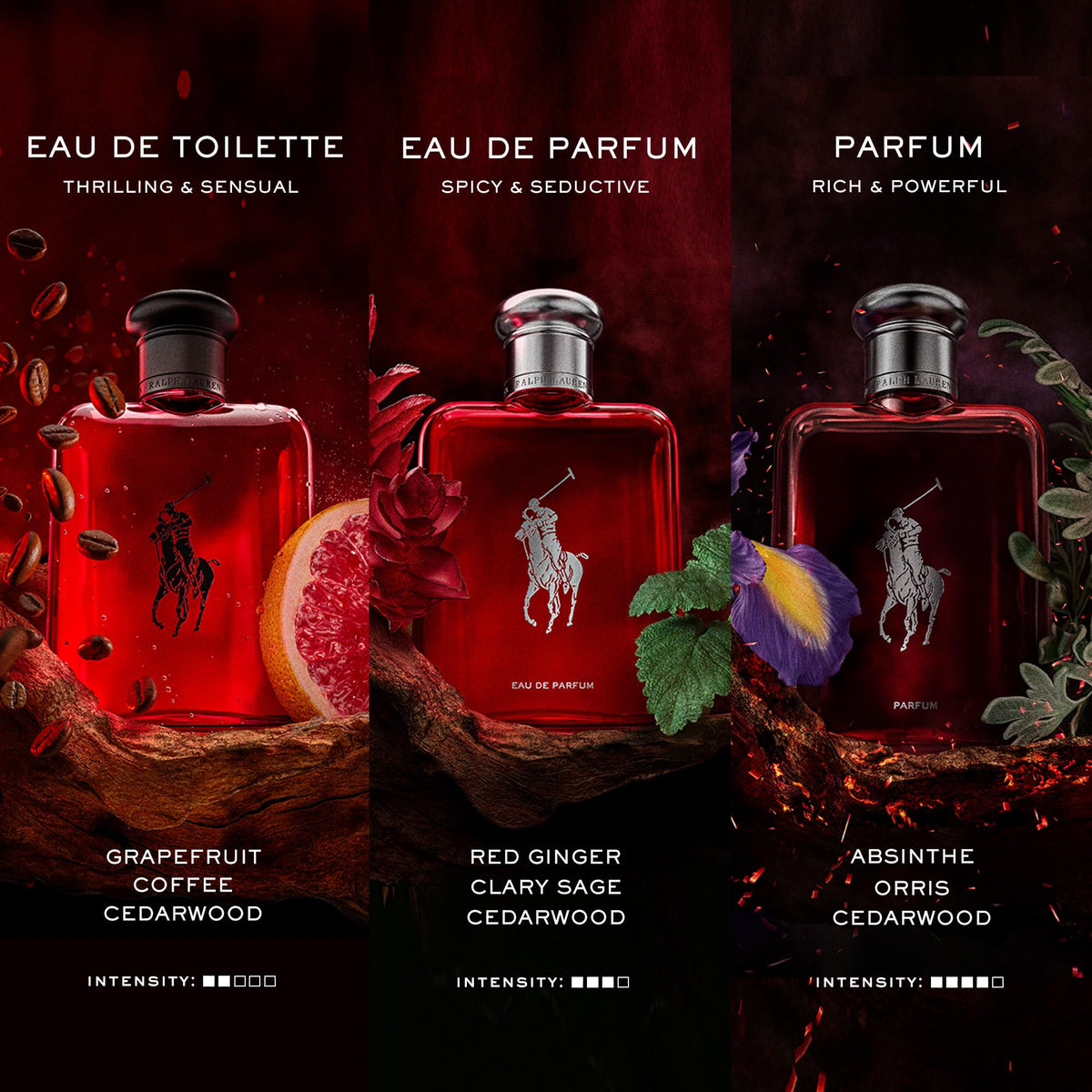Ralph Lauren Polo Red Eau de Toilette Men's Fragrance