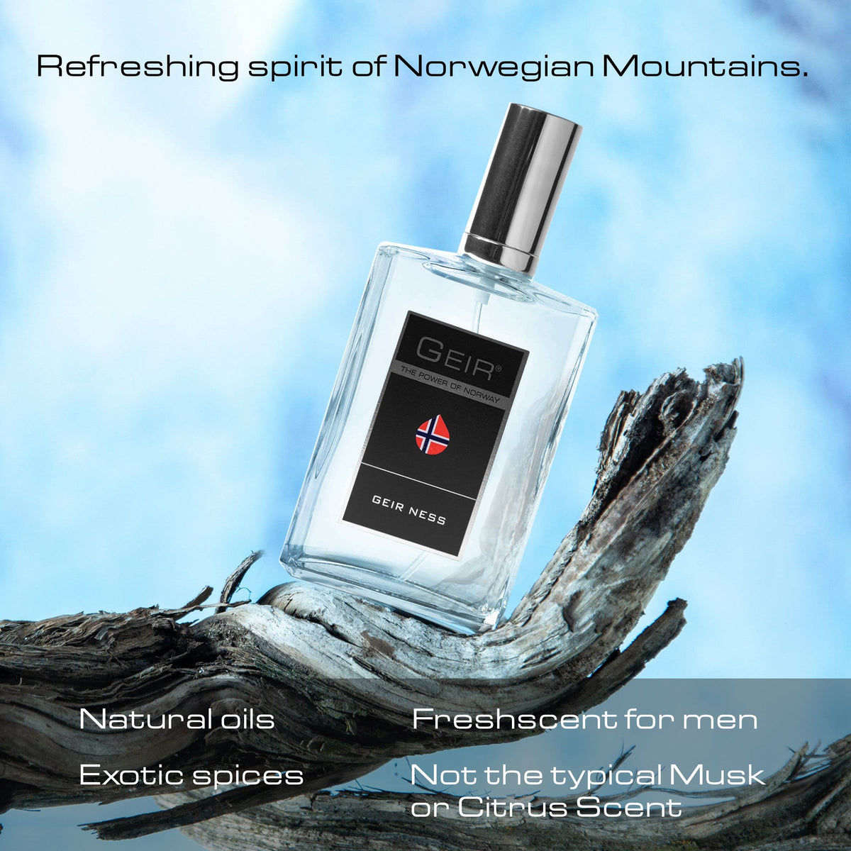 Geir Ness Geir Eau de Parfum Spray for Men