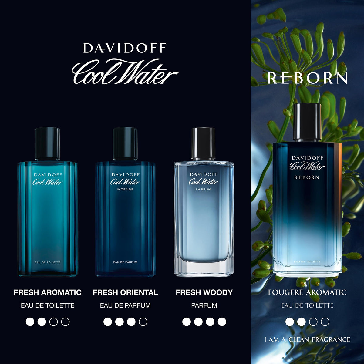 Davidoff Cool Water Intense Eau de Parfum Men's Cologne