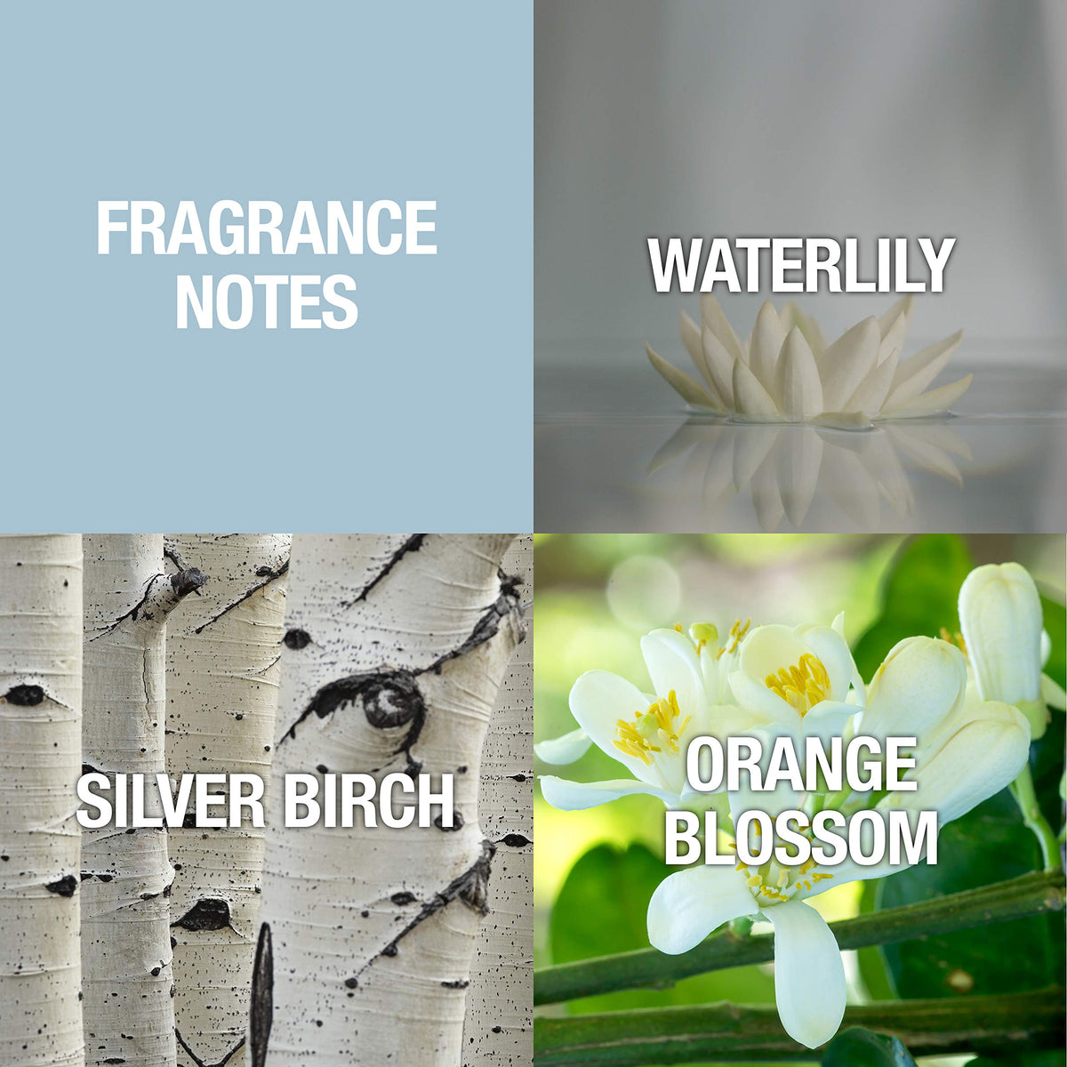 SHI by Alfred Sung Eau de Parfum for Women