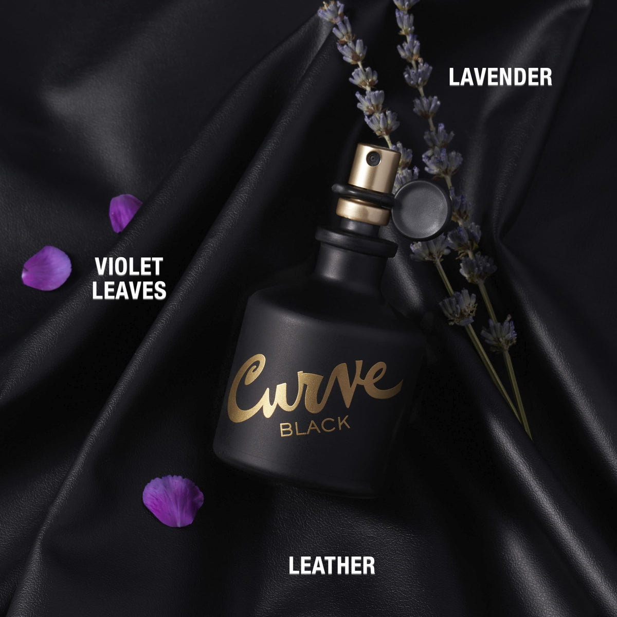 Curve Black Men's Cologne Fragrance Spray, 4.2 fl oz