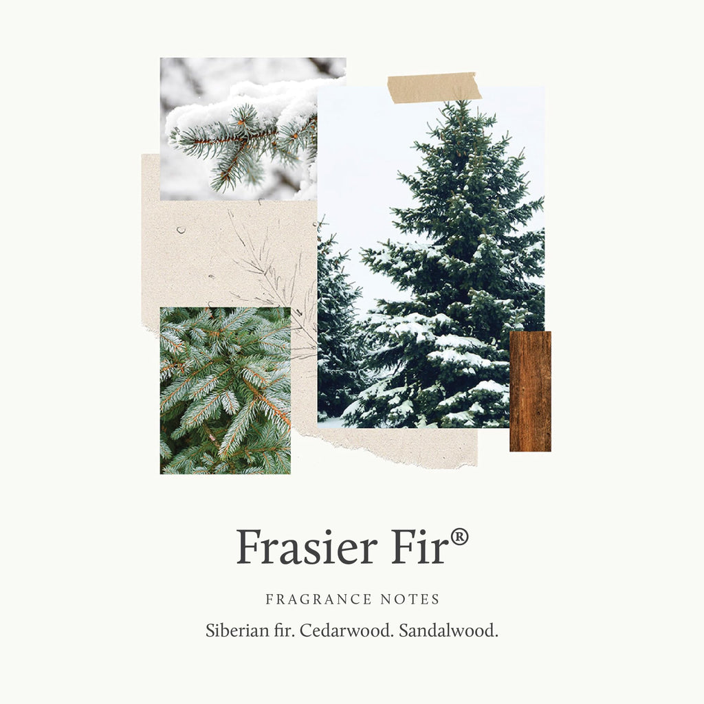 Thymes Frasier Fir Hand Wash Refill Moisturizing Liquid Hand Soap