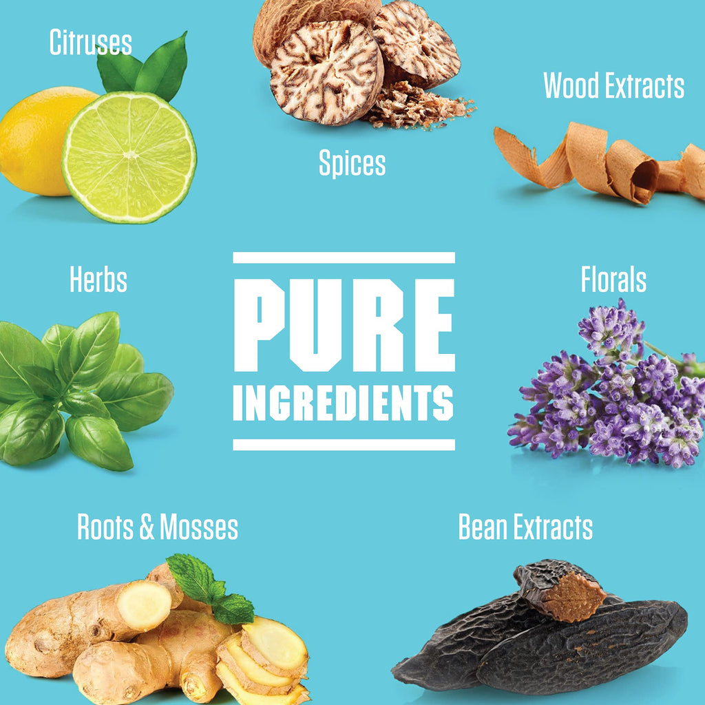 Musk & Hustle Concentrated Fragrance Oil