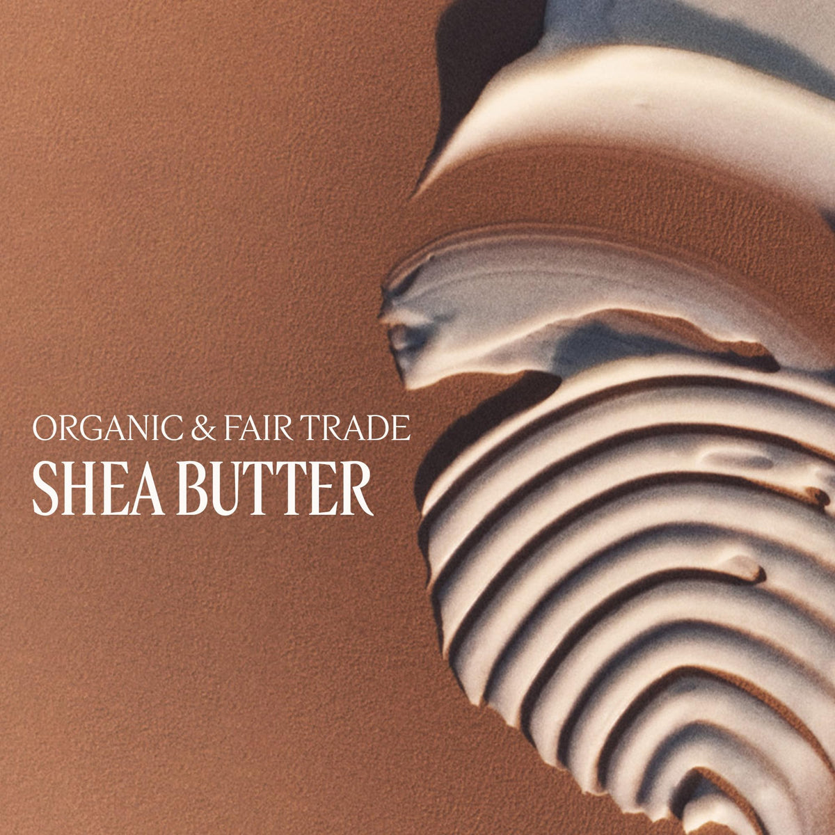 L'OCCITANE Shea Butter Hand Balm with 25% Organic Shea Butter & Allantoin, 5.3 Fl Oz