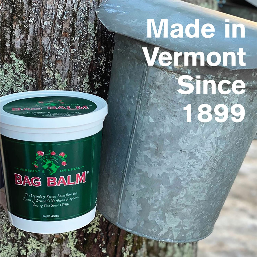 Bag Balm Vermont's Original Hand & Skin Moisturizer Ointment