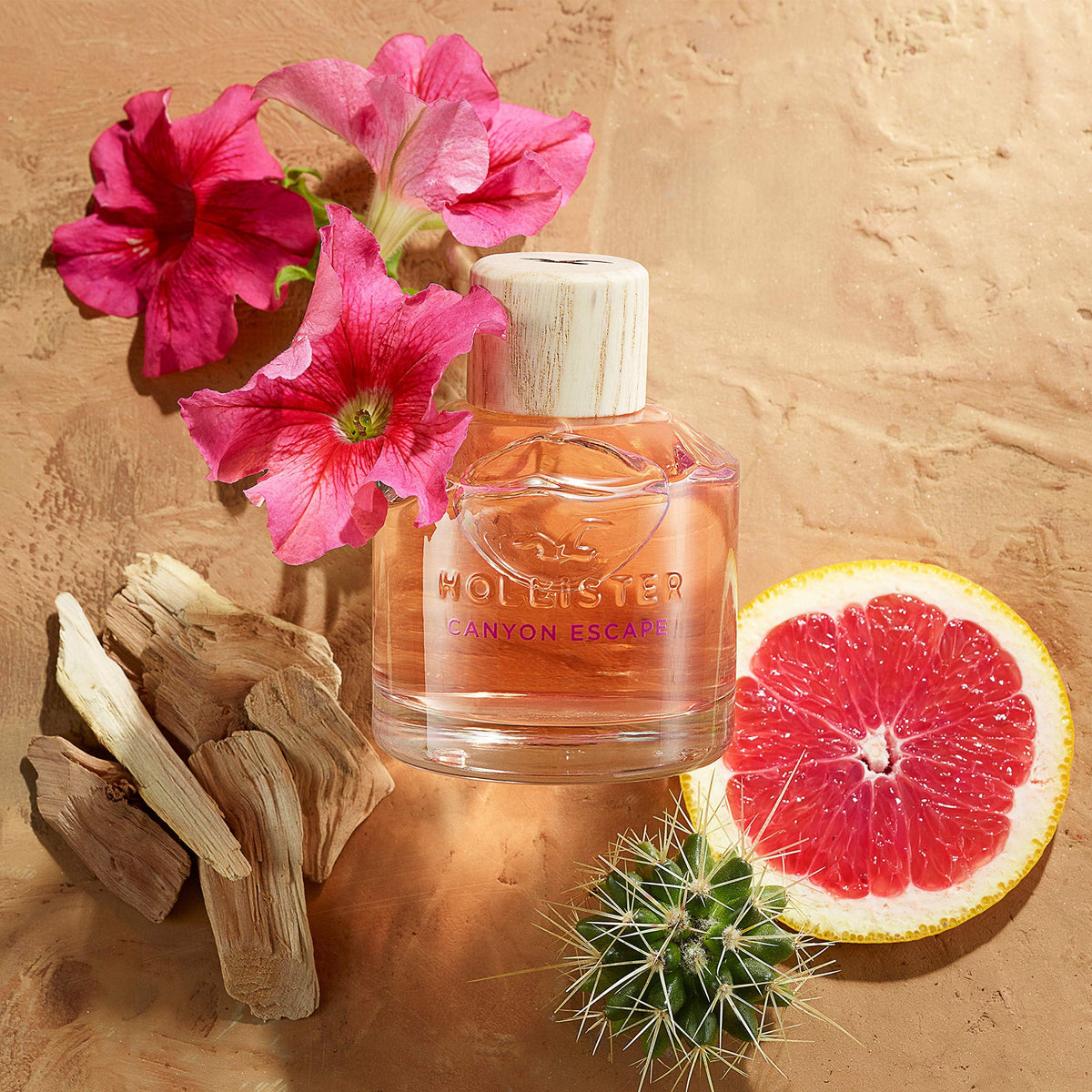 Hollister Canyon Escape Women's Eau de Parfum Spray 3.4 Fl Oz
