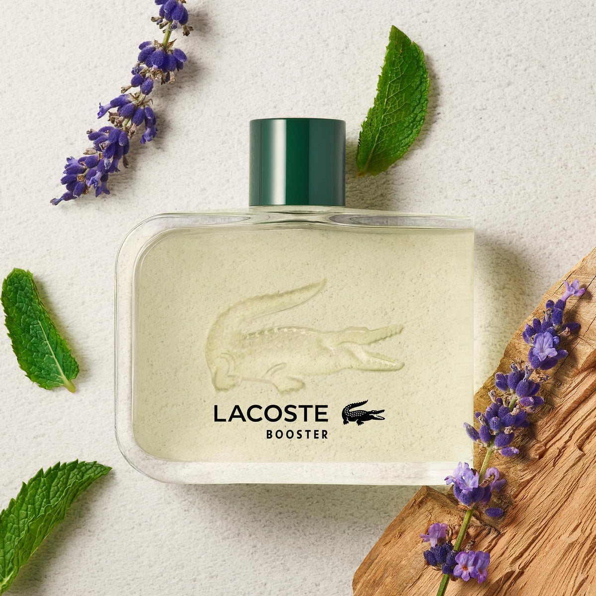 Lacoste Essential Eau de Toilette Men's Fragrance