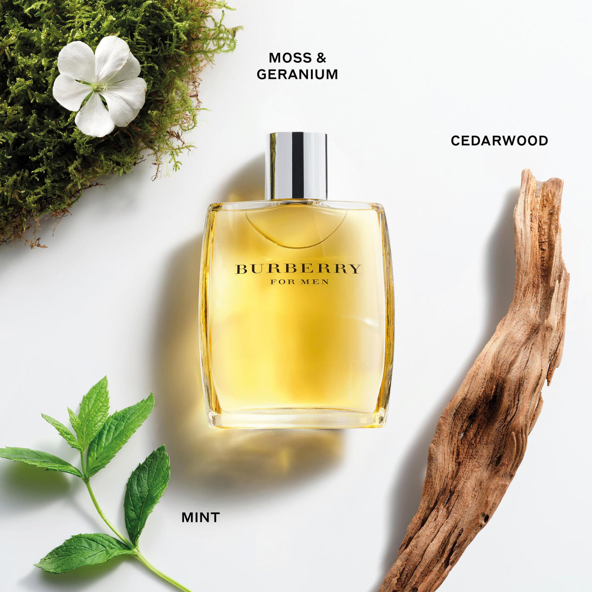 Burberry Classic Eau de Toilette Men's Woody Cologne