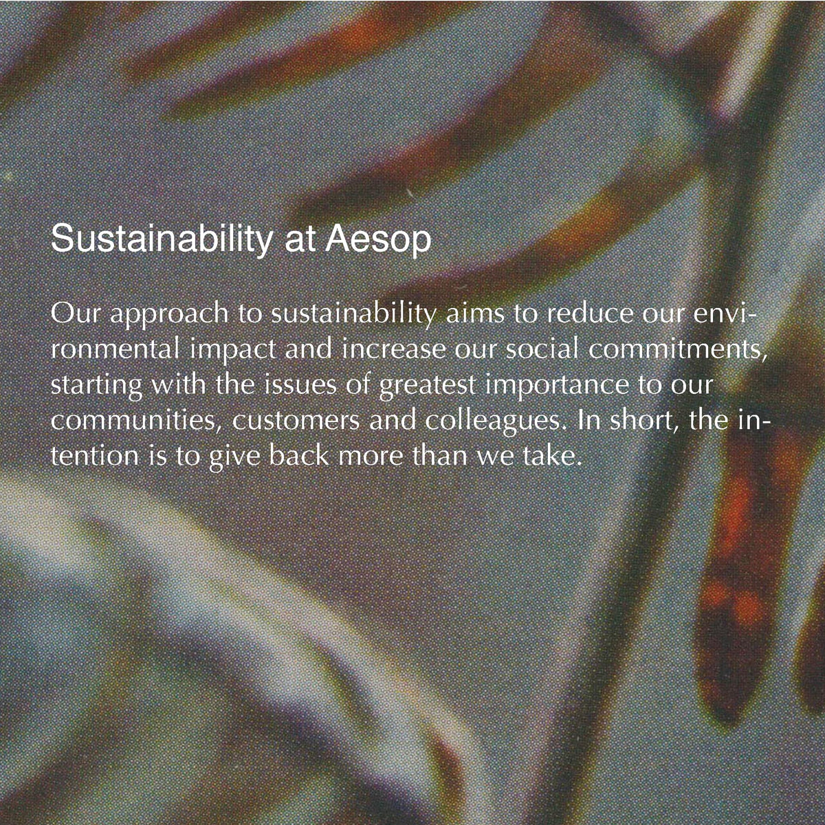 Aesop Fragrance